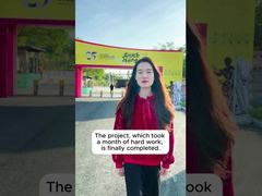 Shunde Bruce Lee-Projektfall