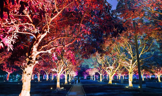 DMX512 RGBW 36W Baum LED Flutlicht LED Gartenlampe Für Landschaftsprojektion