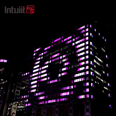 12X3W Neues Design Außen-LED-Wandspüler IP65 Wasserdicht DMX RGBW LED-Wandspüler Licht für Architekturgebäude