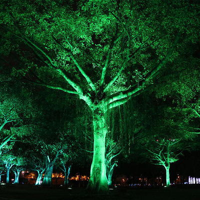 IP65 6W Outdoor Aluminiumin Wasserdicht Led Spike Baum Flutlicht einstellen Scheinwerfer Garten Landschaftsbeleuchtung