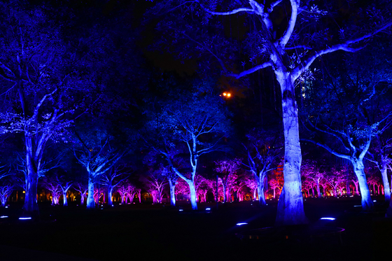 36w Outdoor Farben Rgb Led Gartenbaum Flutlicht Für Landschaftsprojektion