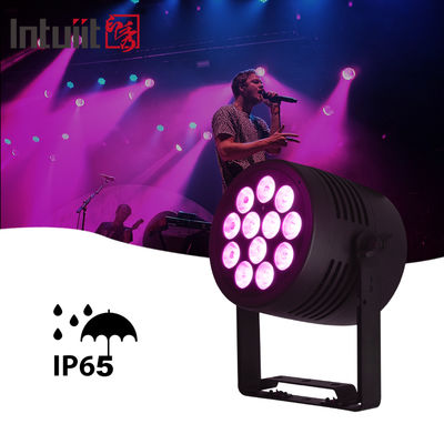IP65 Outdoor LED 12x20w RGBWA-UV 6in1 Veranstaltung DJ Wasch DMX 512 Wasserdichte LED Par Licht